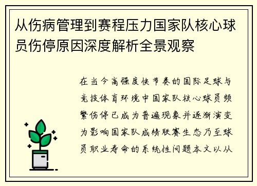 从伤病管理到赛程压力国家队核心球员伤停原因深度解析全景观察
